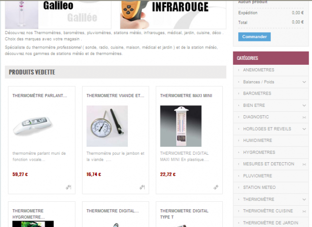 référencement d'une boutique en ligne de thermomètres