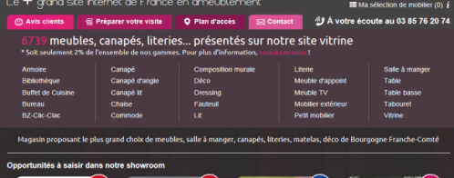 Audit pour le référencement du site d'un grand magasin de meubles