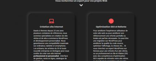 Audit du site d'un webmaster spécialisé Wordpress