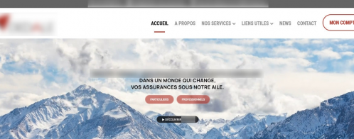 Optimisation des balises META d'un site d'assurances