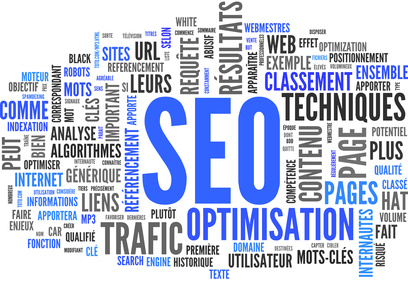 Votre Consultant SEO 